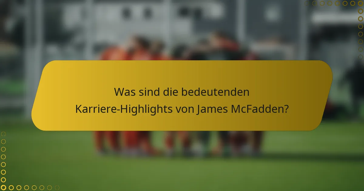 Was sind die bedeutenden Karriere-Highlights von James McFadden?