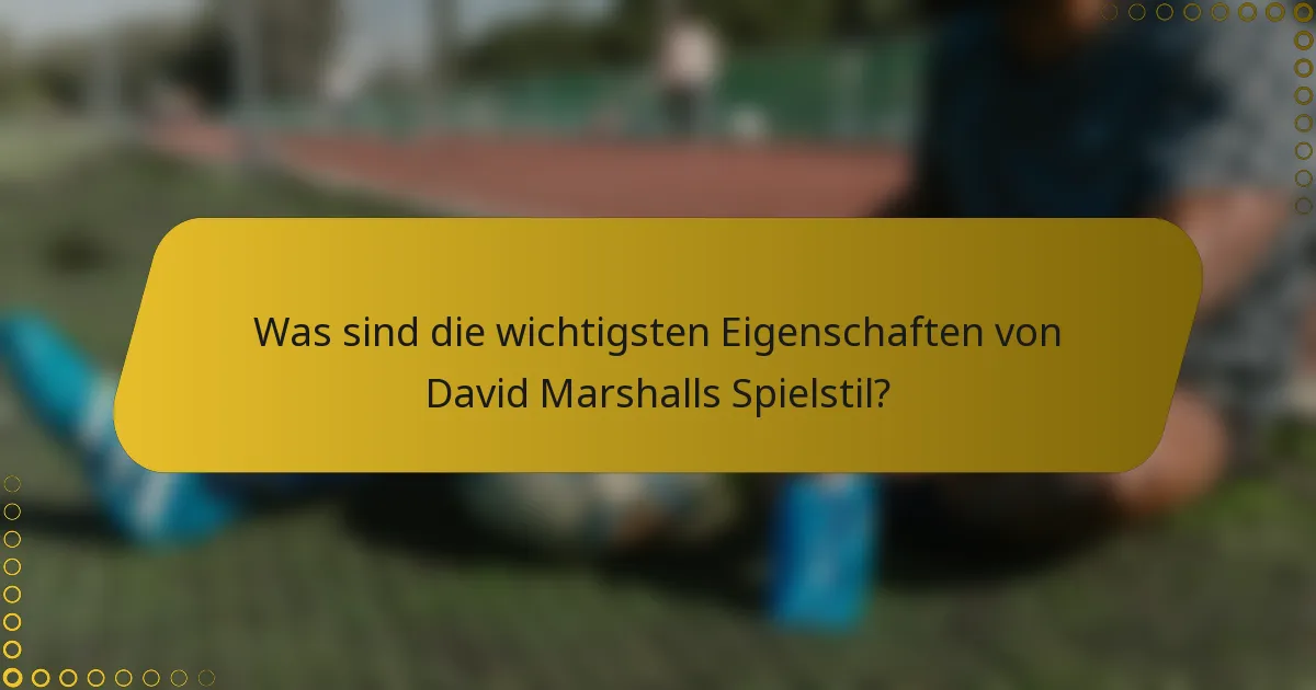 Was sind die wichtigsten Eigenschaften von David Marshalls Spielstil?