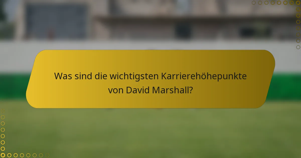 Was sind die wichtigsten Karrierehöhepunkte von David Marshall?