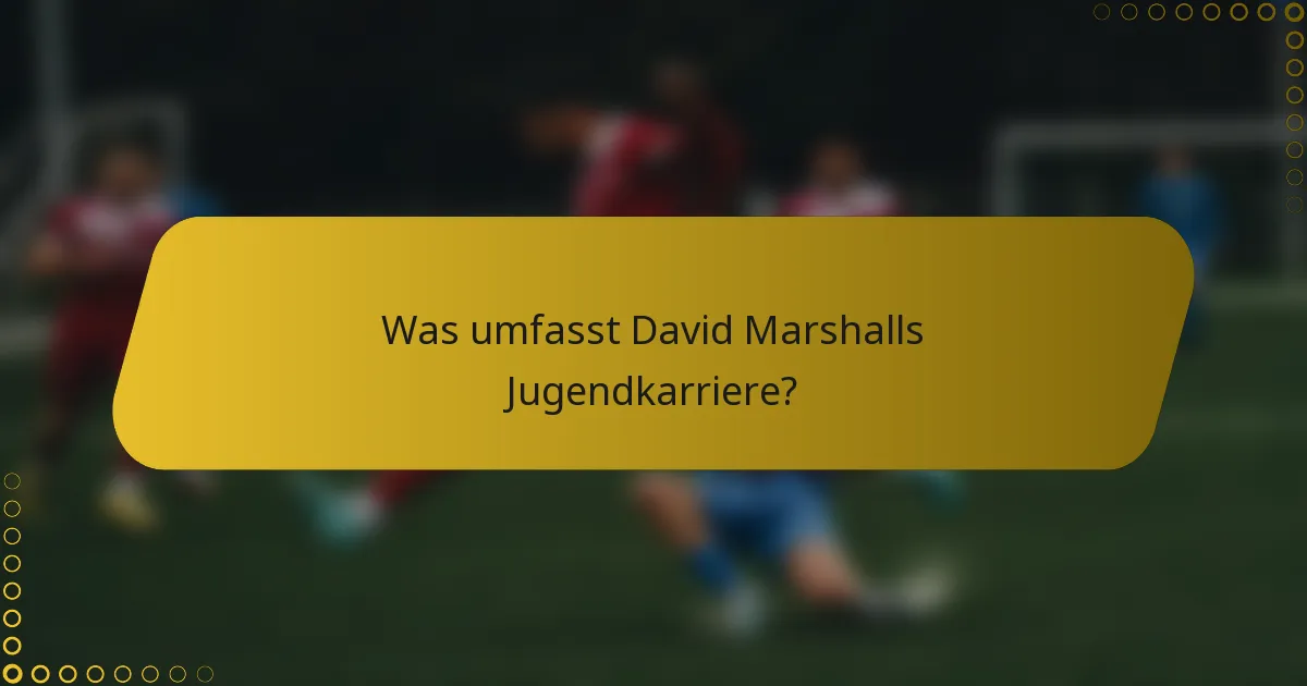 Was umfasst David Marshalls Jugendkarriere?