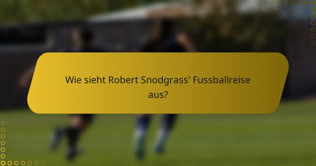 Wie sieht Robert Snodgrass' Fussballreise aus?